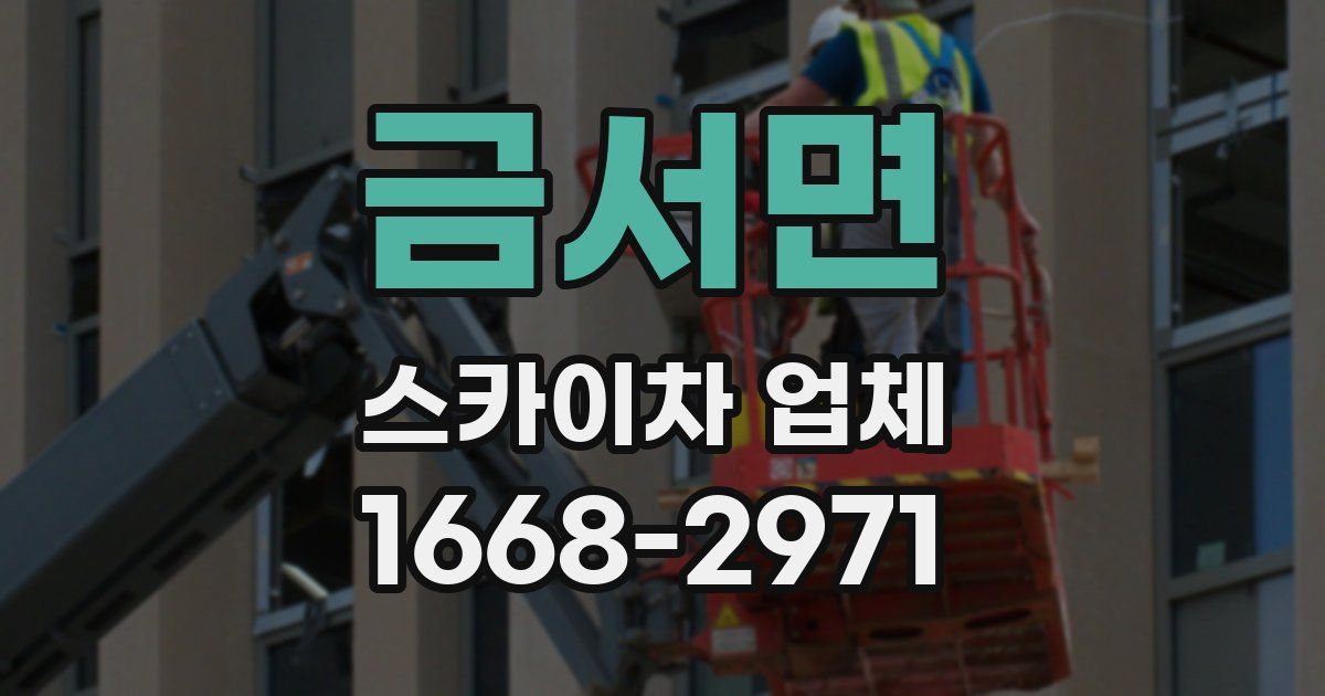 금서면 스카이차 업체