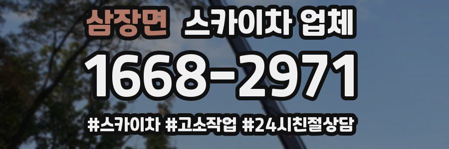 삼장면 스카이차 업체