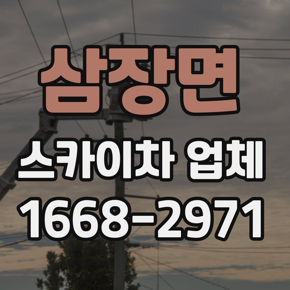 삼장면 스카이차 업체