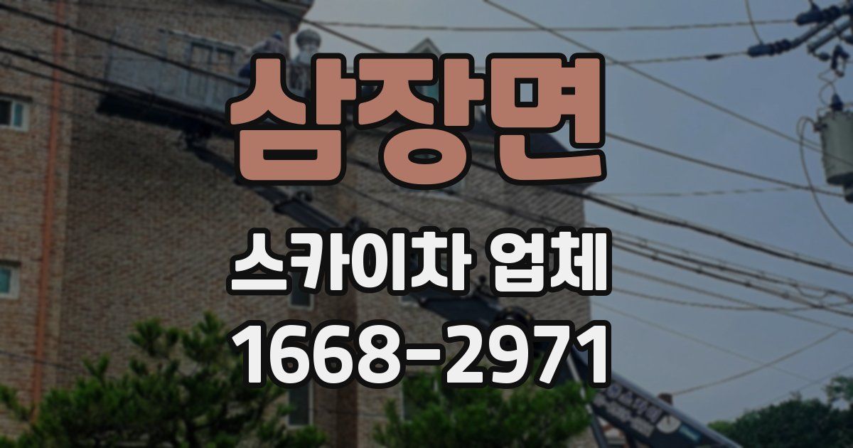 삼장면 스카이차 업체
