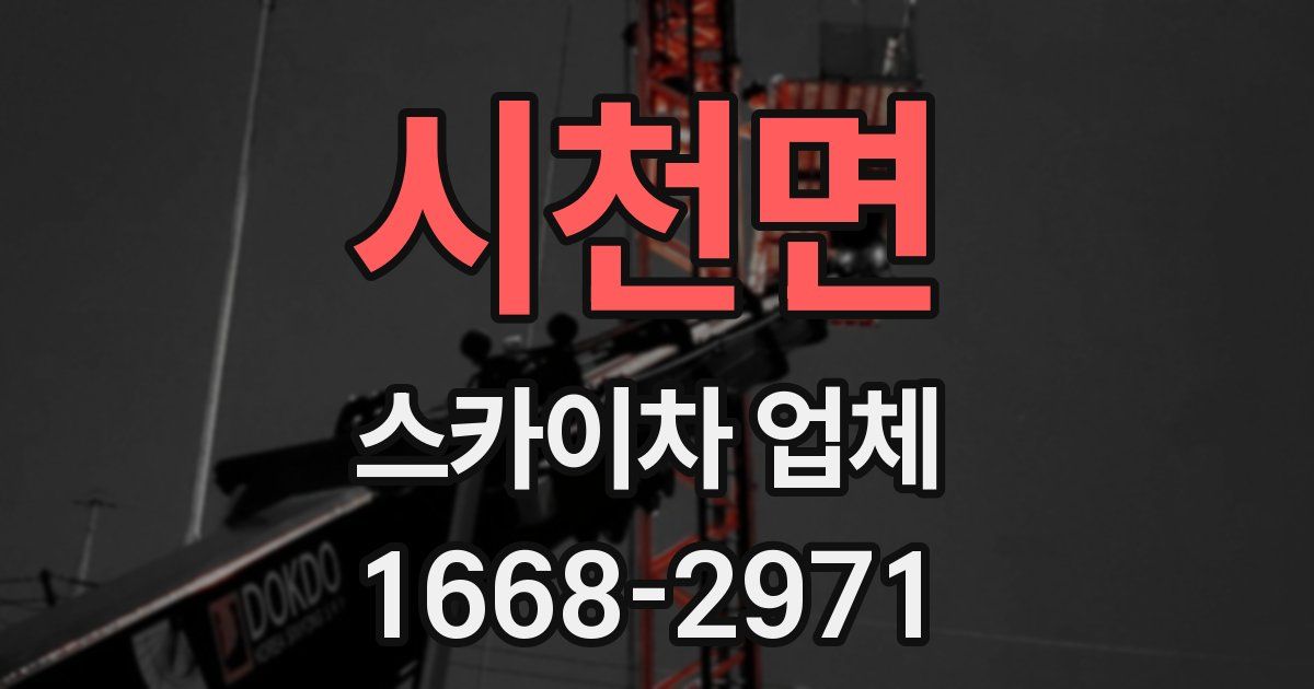 시천면 스카이차 업체