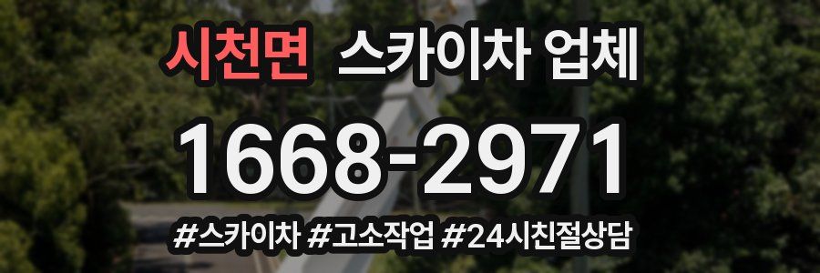 시천면 스카이차 업체