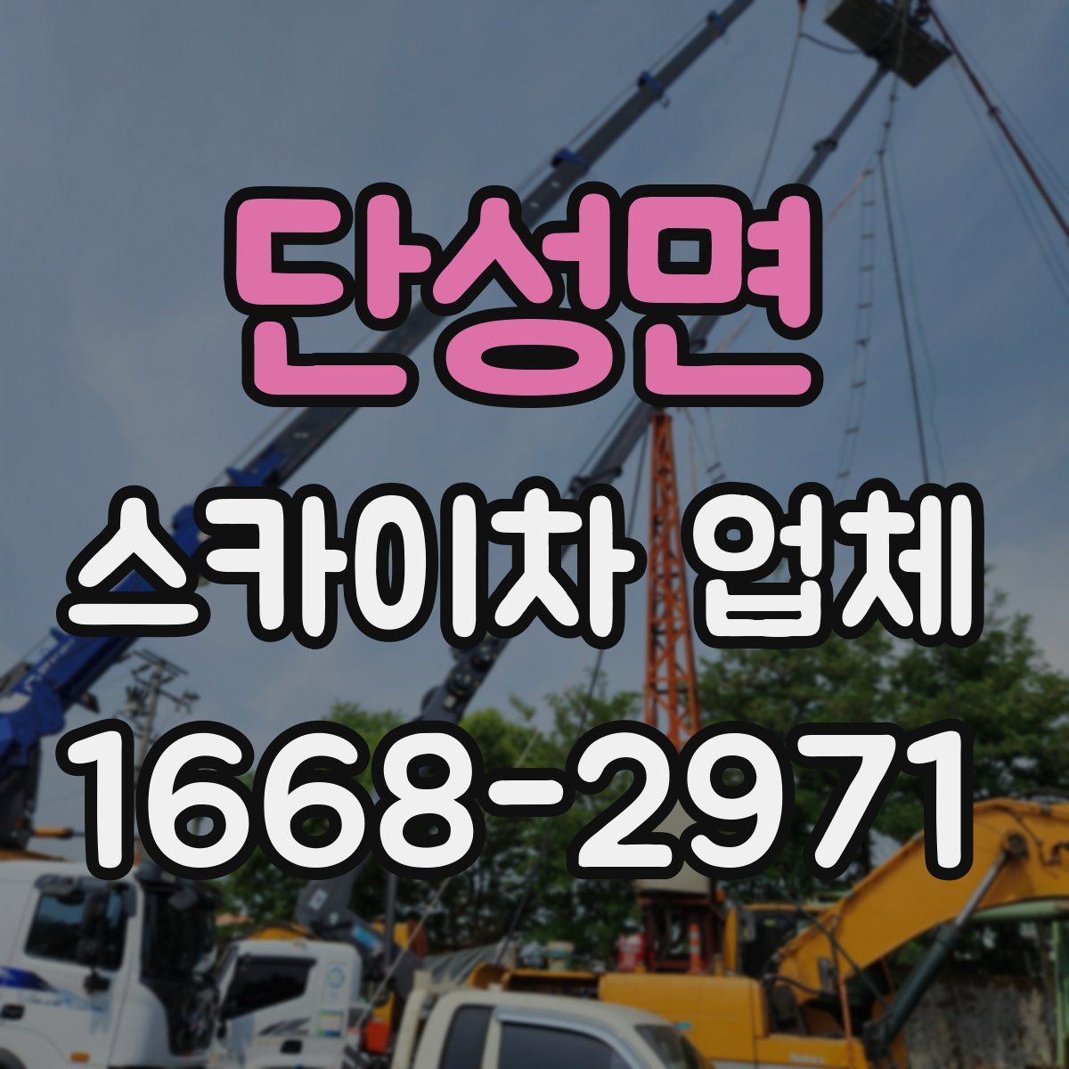 단성면 스카이차 업체