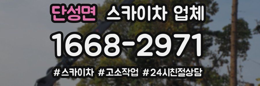 단성면 스카이차 업체