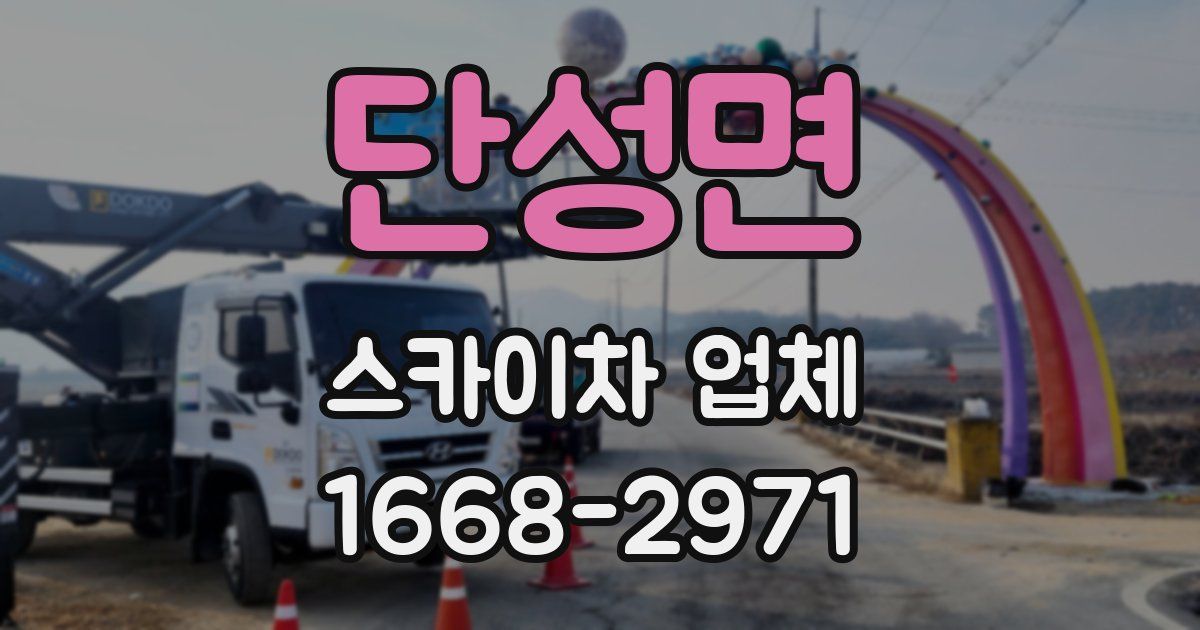단성면 스카이차 업체