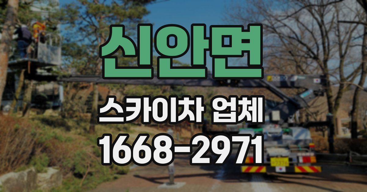 신안면 스카이차 업체