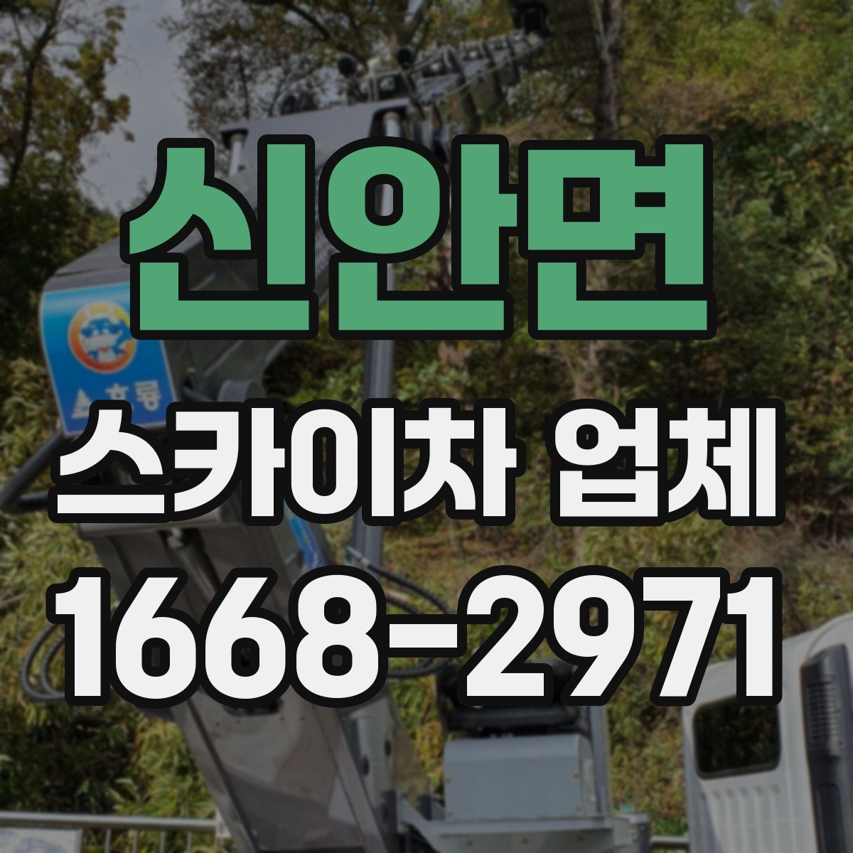신안면 스카이차 업체