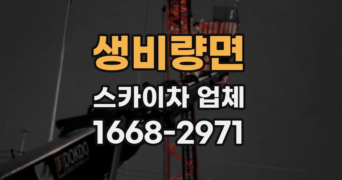 생비량면 스카이차 업체