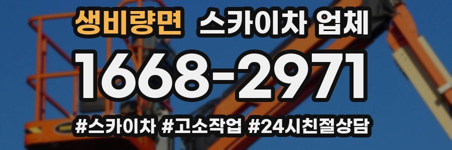 생비량면 스카이차 업체