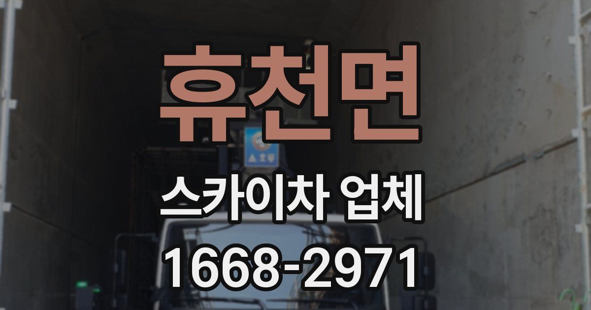 휴천면 스카이차 업체