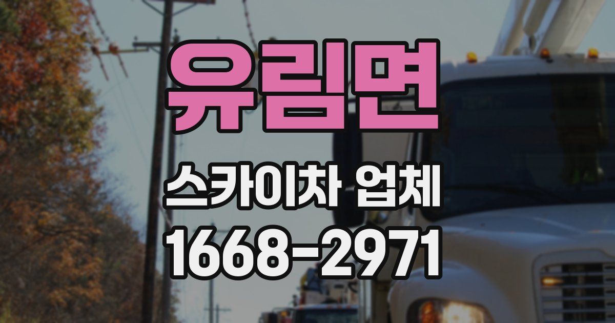 유림면 스카이차 업체
