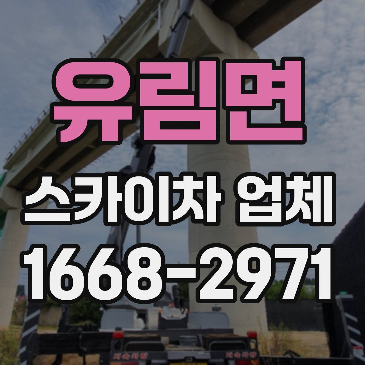 유림면 스카이차 업체