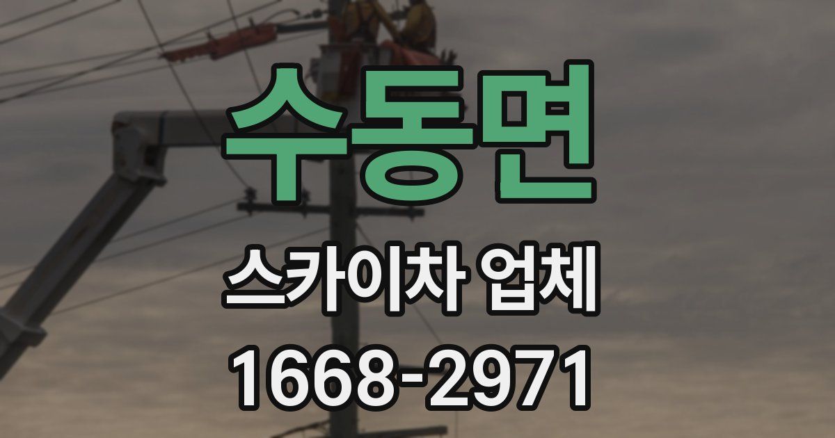 수동면 스카이차 업체