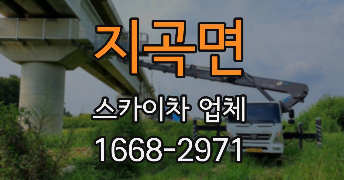 지곡면 스카이차 업체