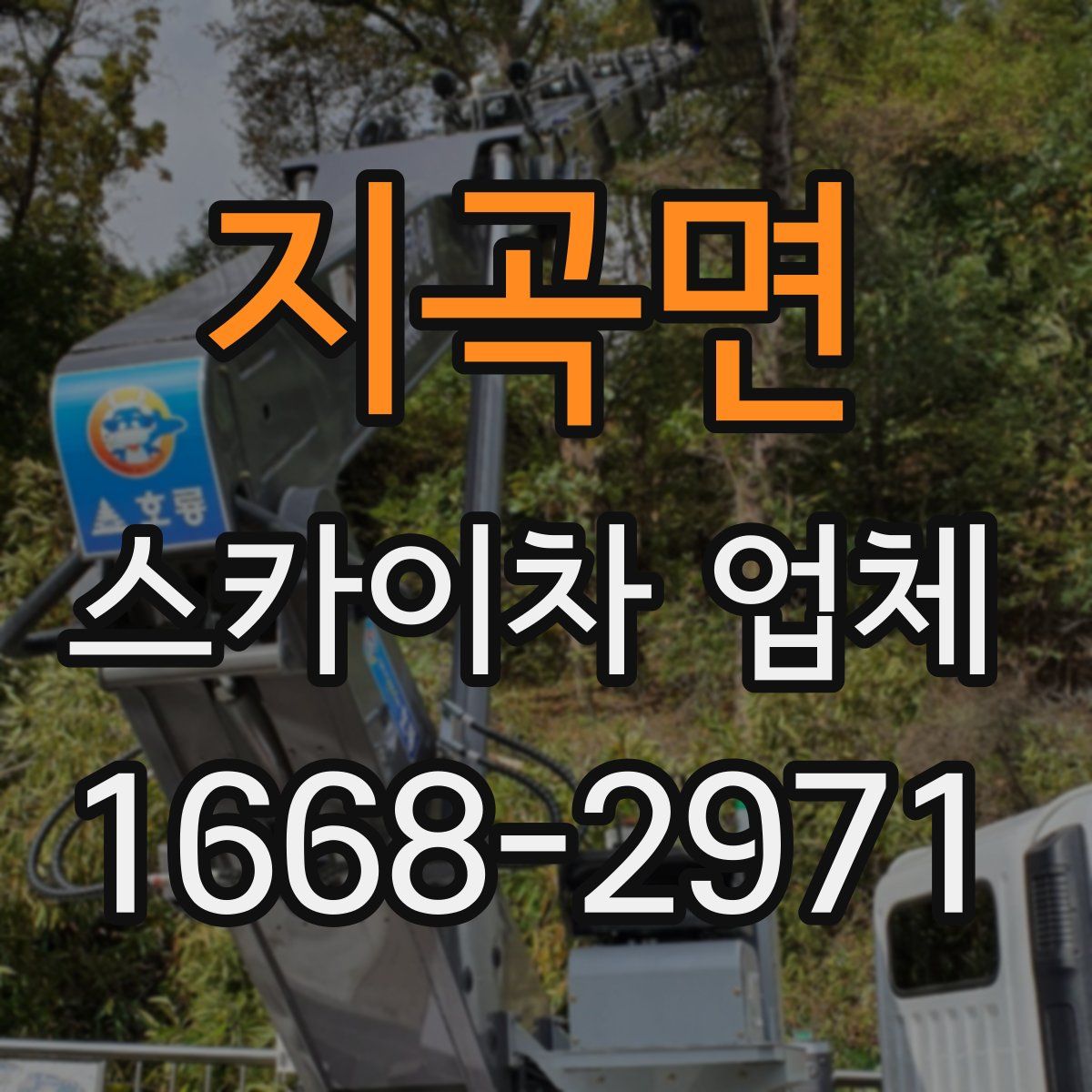 지곡면 스카이차 업체