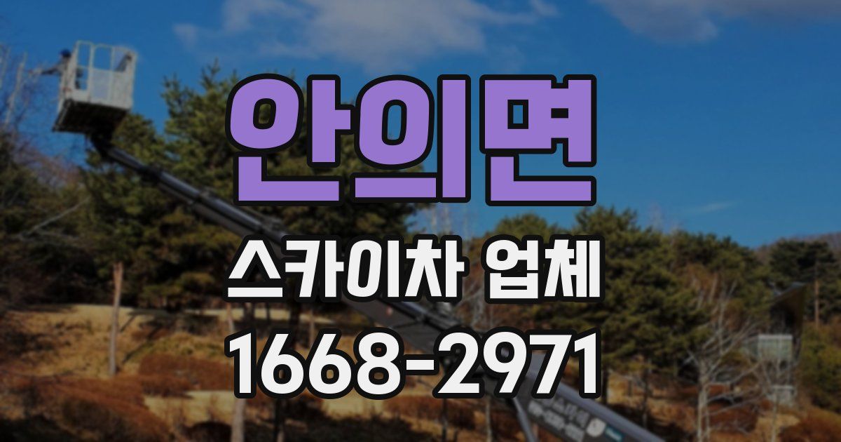 안의면 스카이차 업체