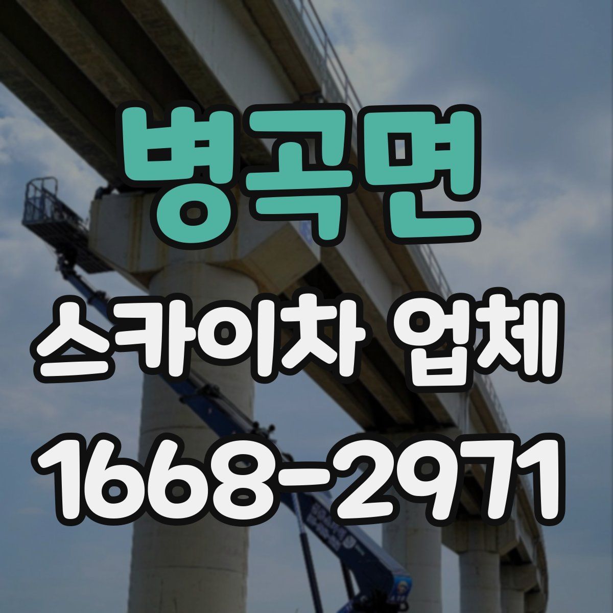 병곡면 스카이차 업체