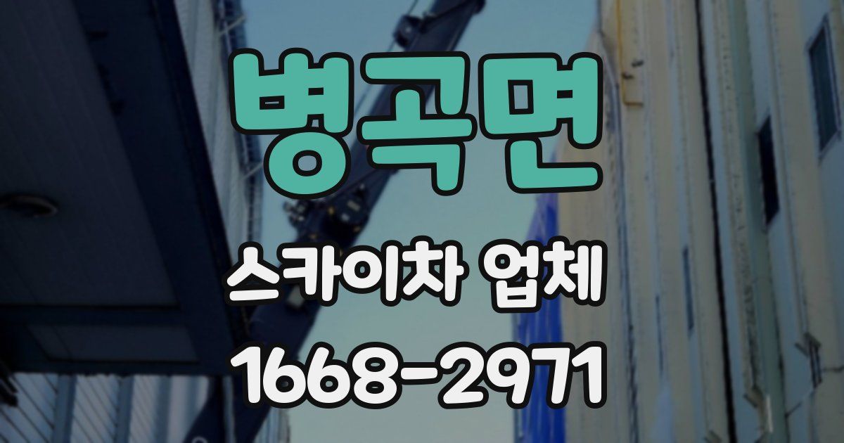 병곡면 스카이차 업체