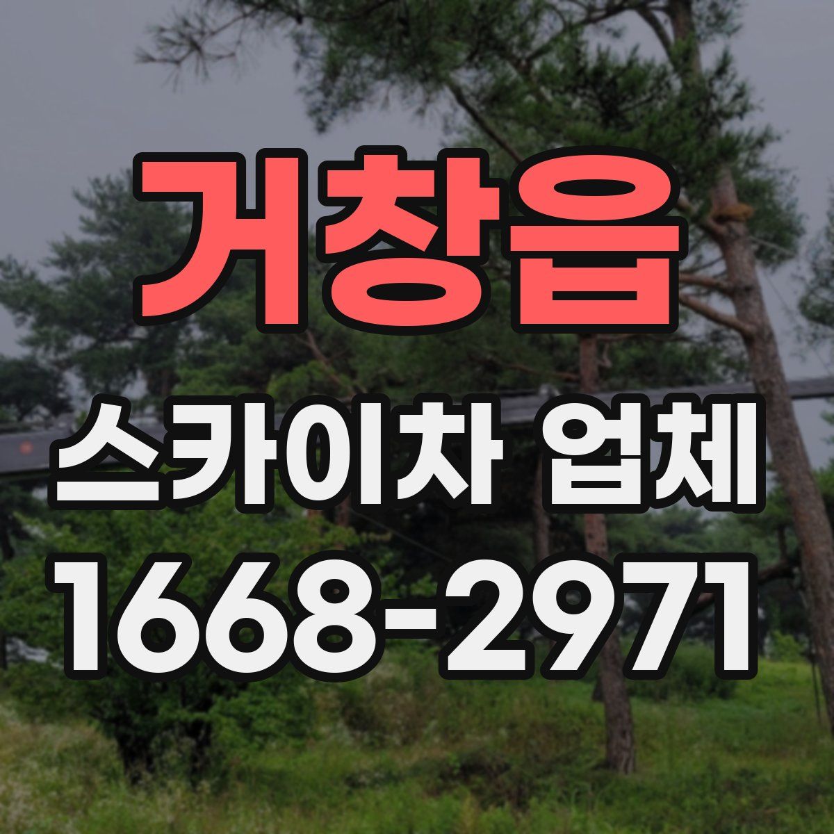 거창읍 스카이차 업체