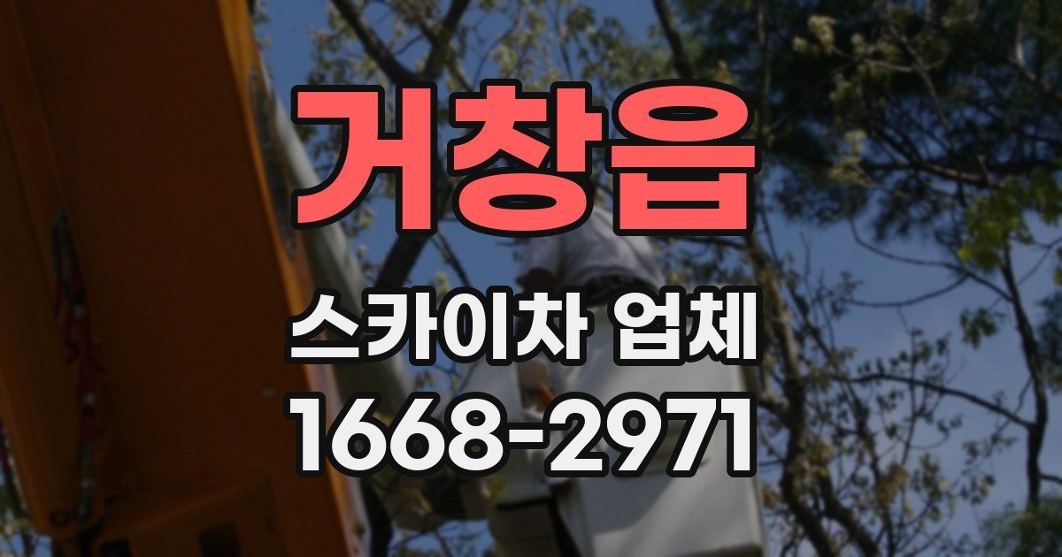 거창읍 스카이차 업체