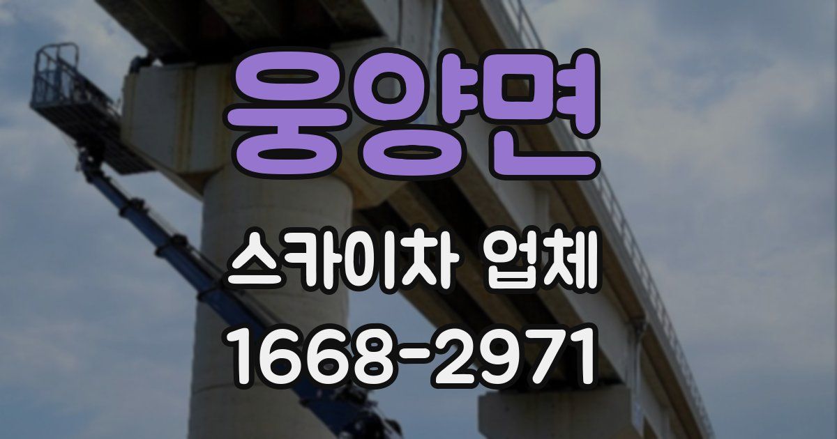 웅양면 스카이차 업체