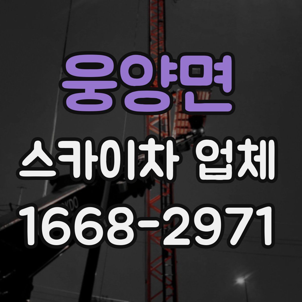 웅양면 스카이차 업체