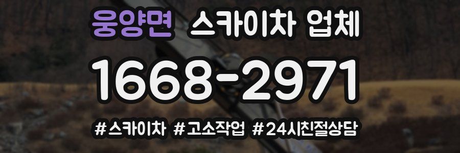 웅양면 스카이차 업체
