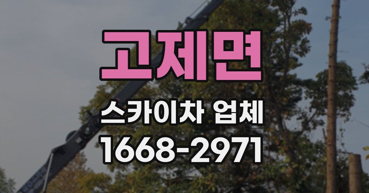 고제면 스카이차 업체