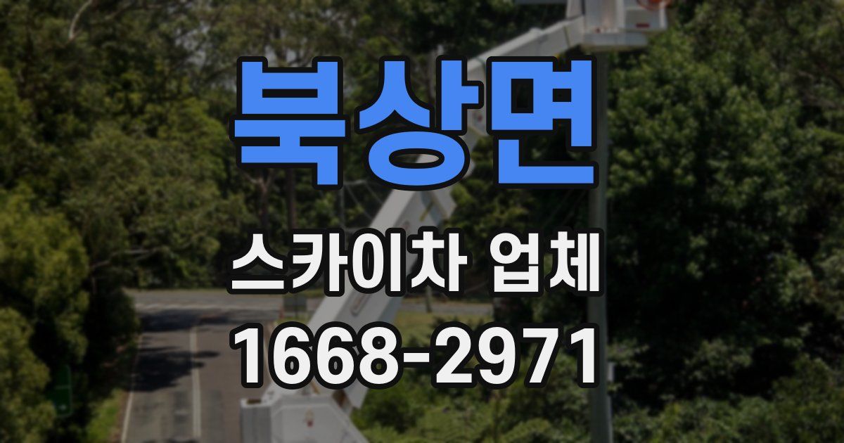 북상면 스카이차 업체