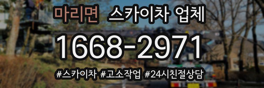마리면 스카이차 업체
