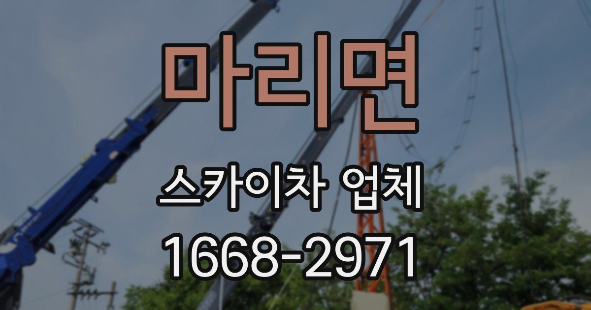 마리면 스카이차 업체