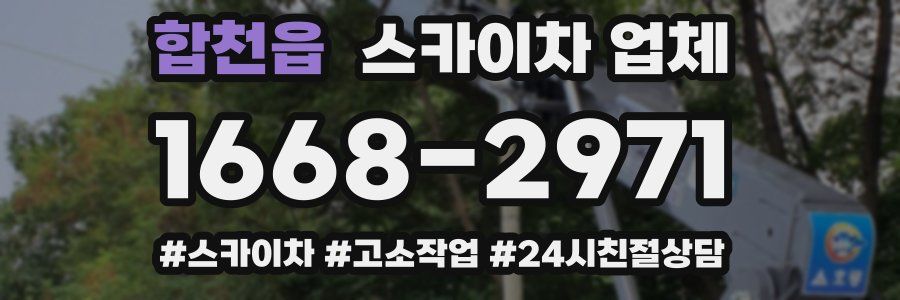 합천읍 스카이차 업체