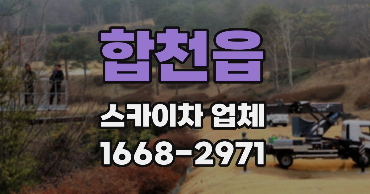 합천읍 스카이차 업체