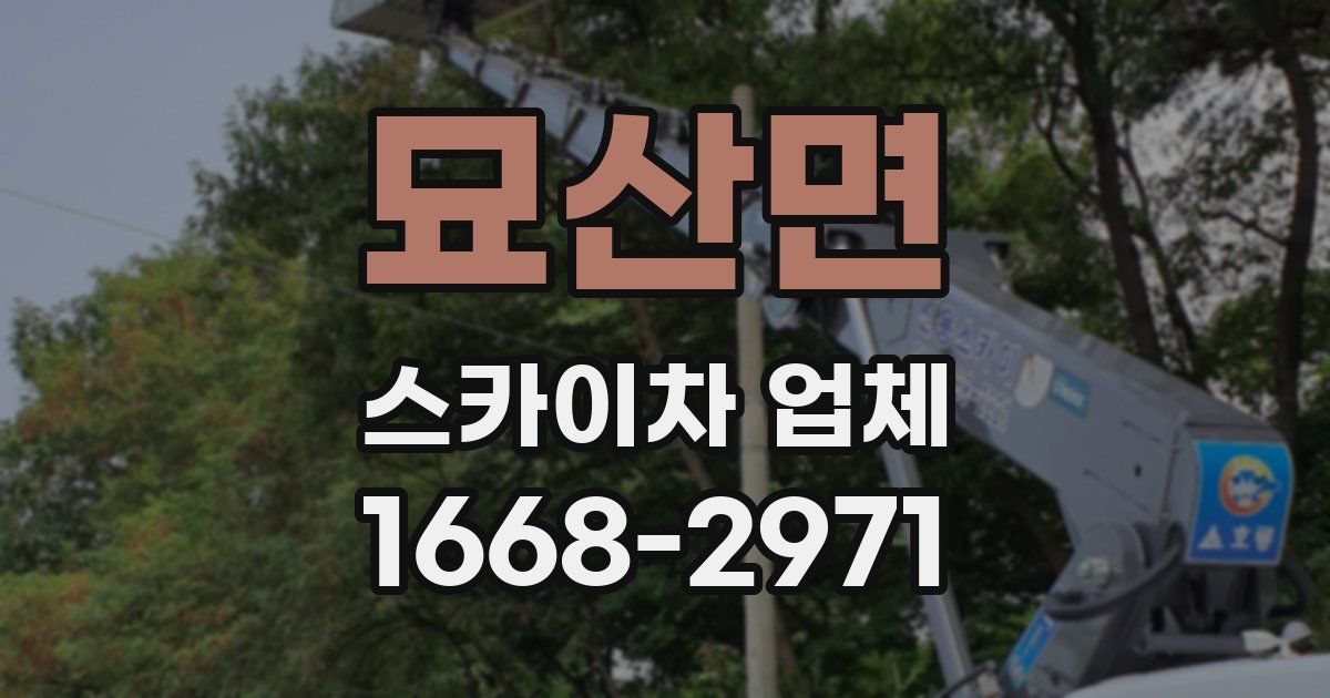 묘산면 스카이차 업체