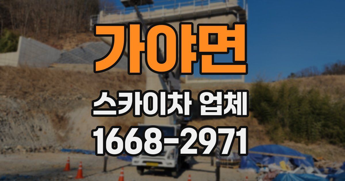 가야면 스카이차 업체
