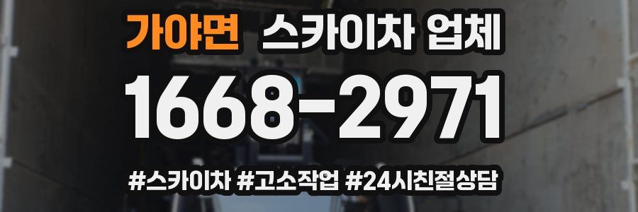 가야면 스카이차 업체