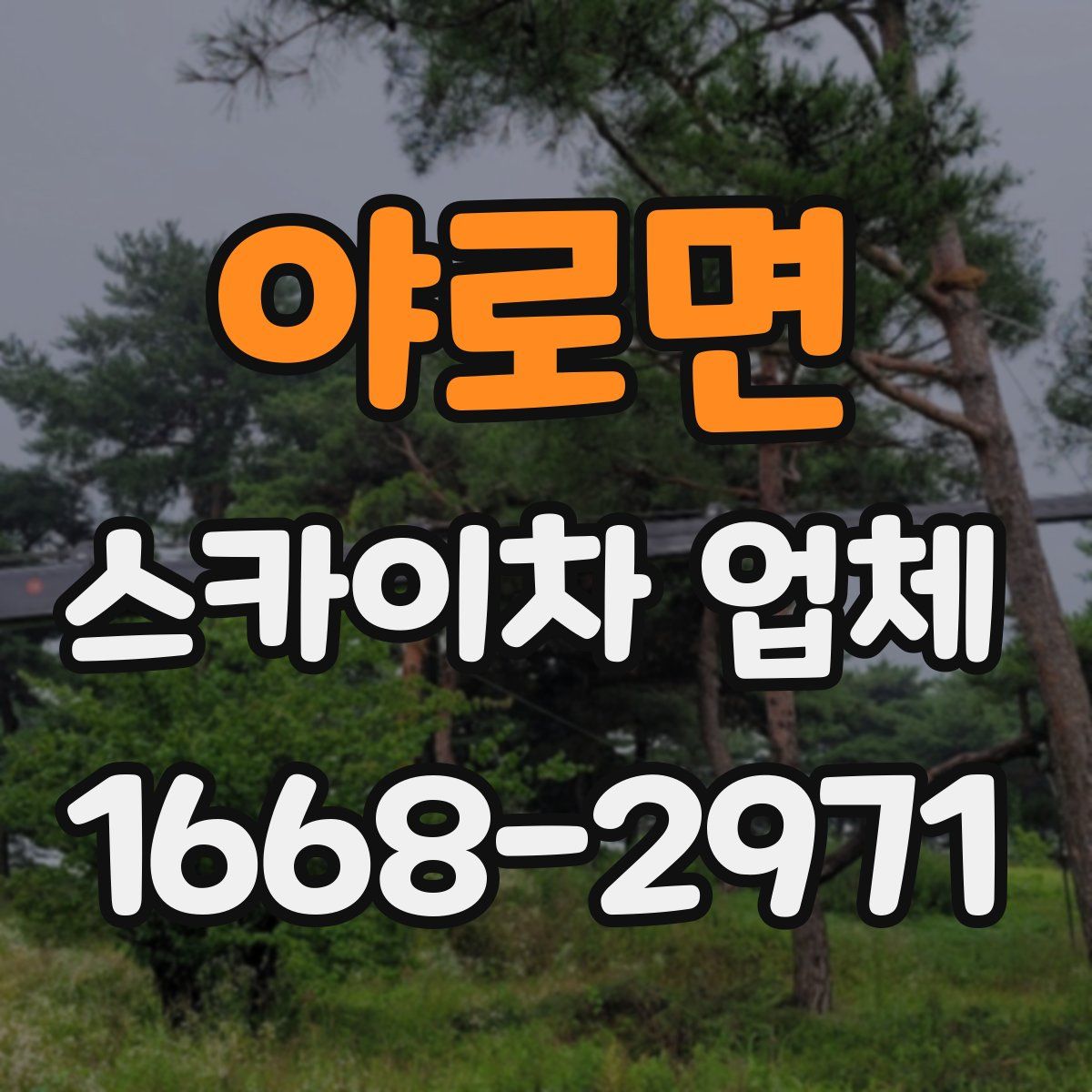 야로면 스카이차 업체
