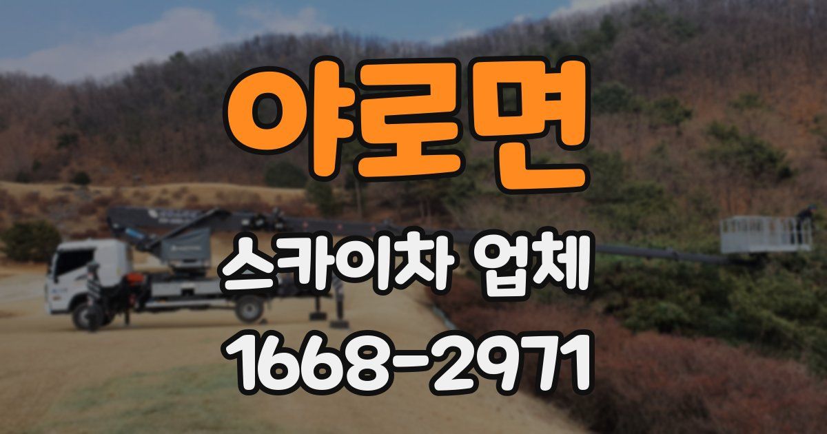 야로면 스카이차 업체