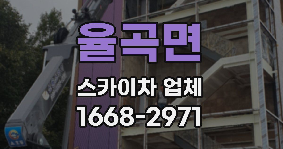 율곡면 스카이차 업체