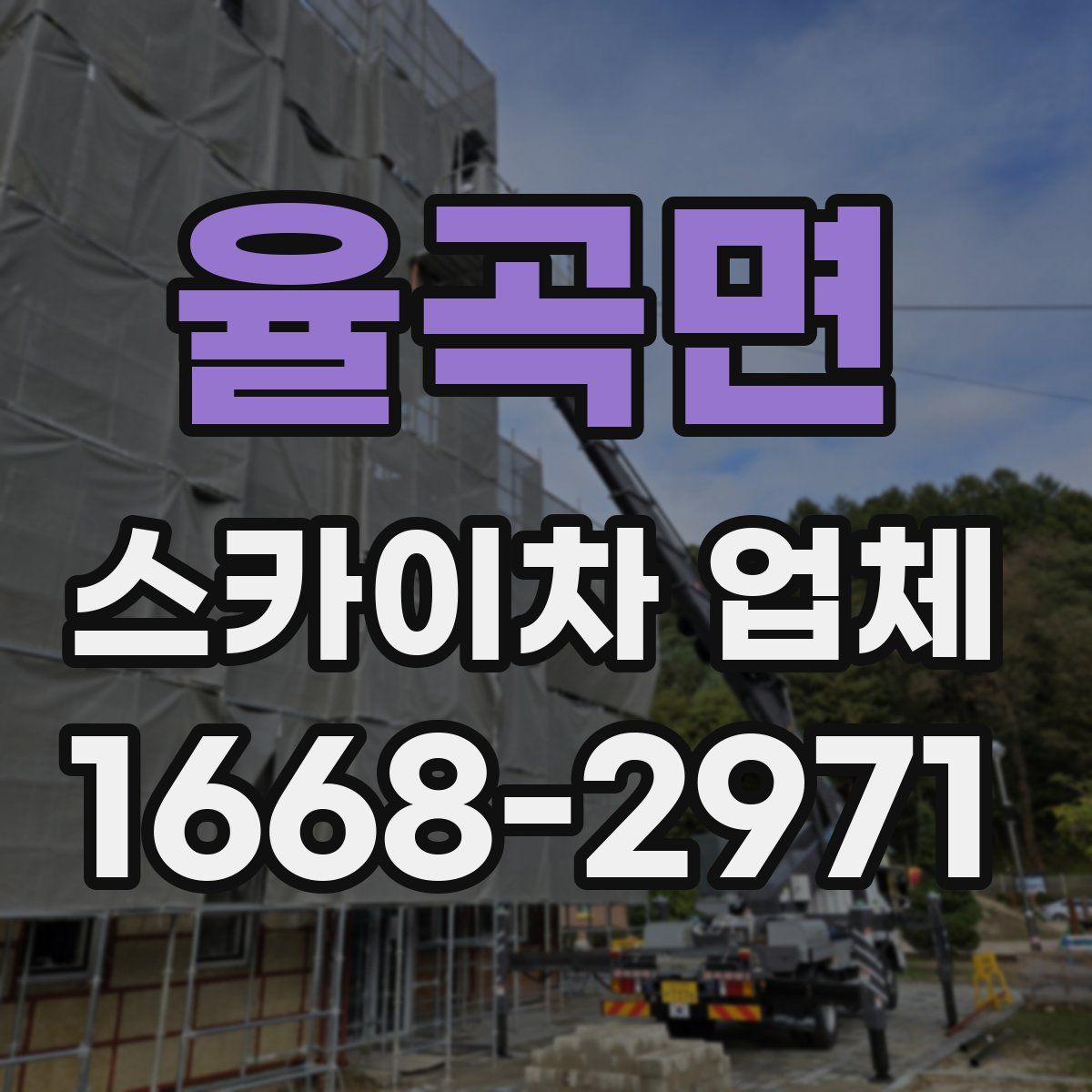 율곡면 스카이차 업체