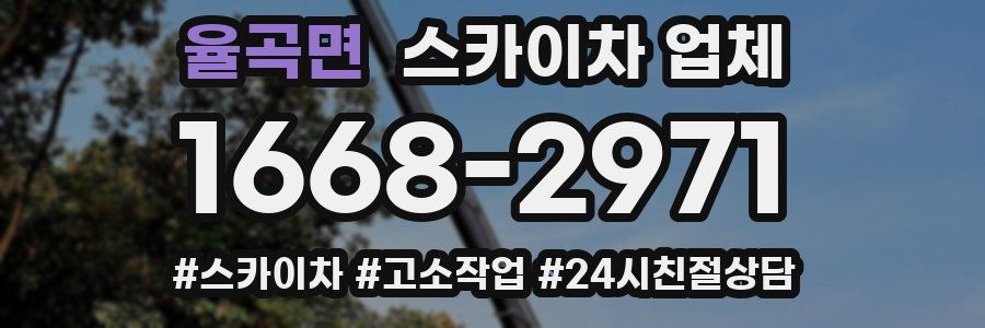 율곡면 스카이차 업체