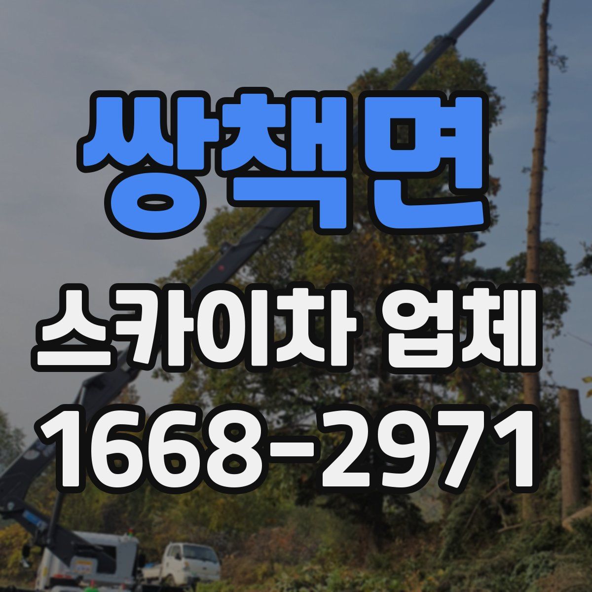 쌍책면 스카이차 업체