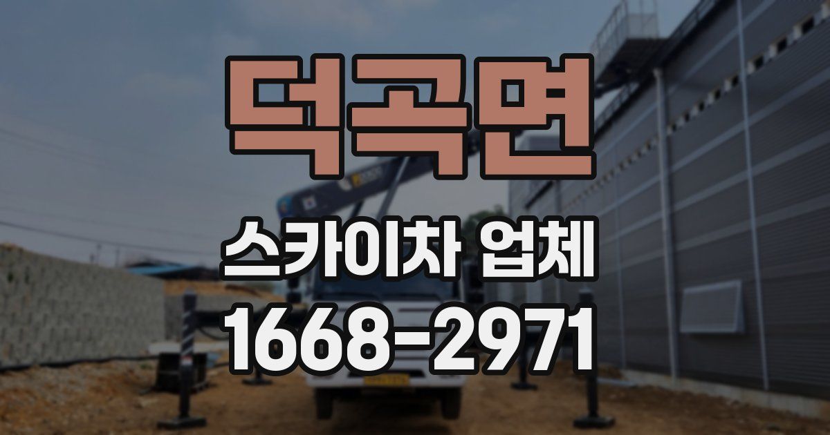 덕곡면 스카이차 업체