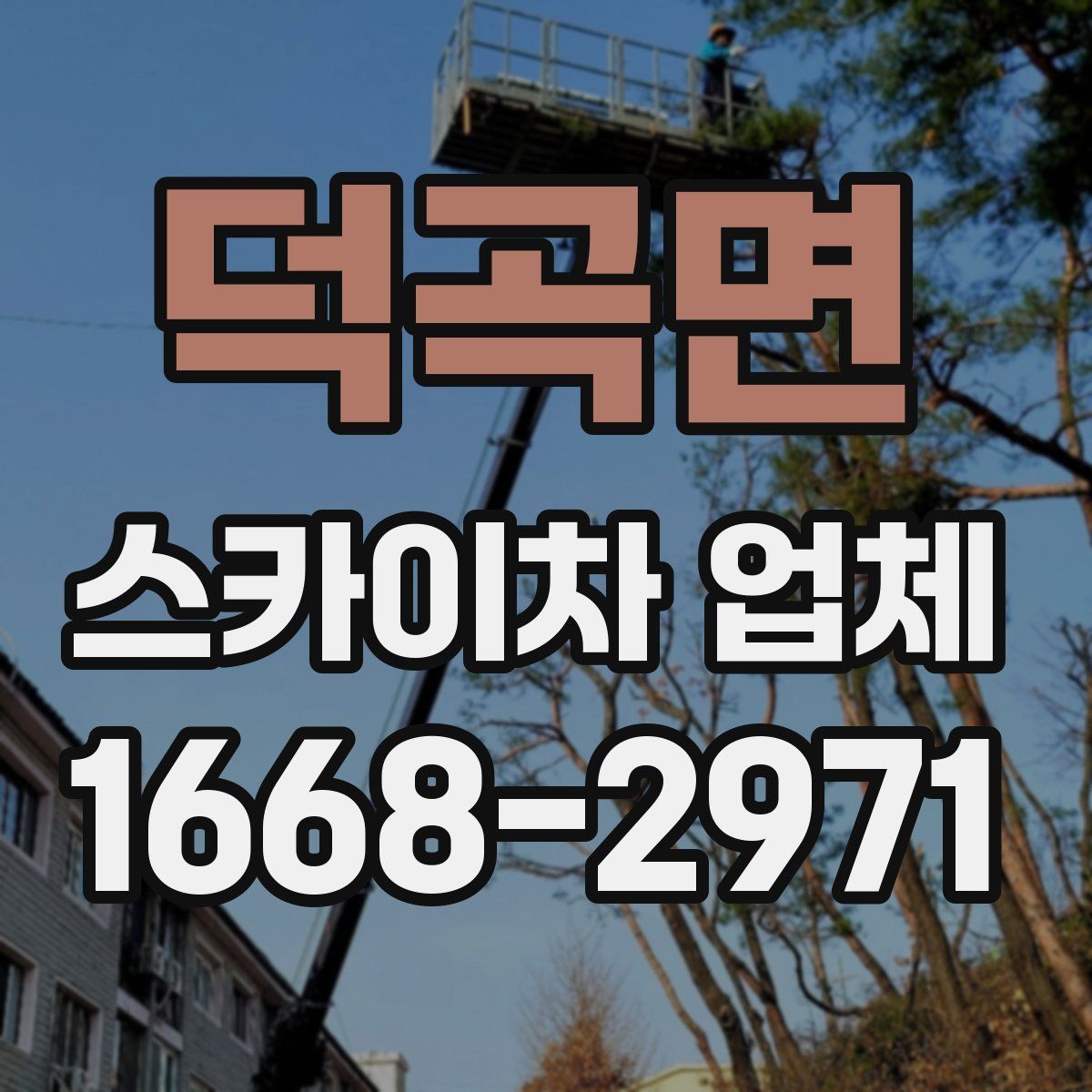 덕곡면 스카이차 업체