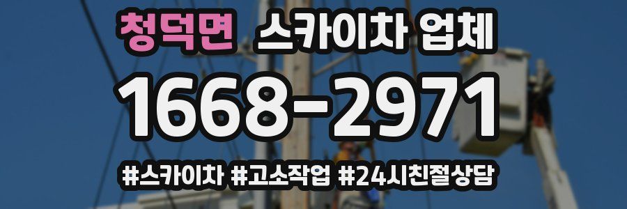 청덕면 스카이차 업체