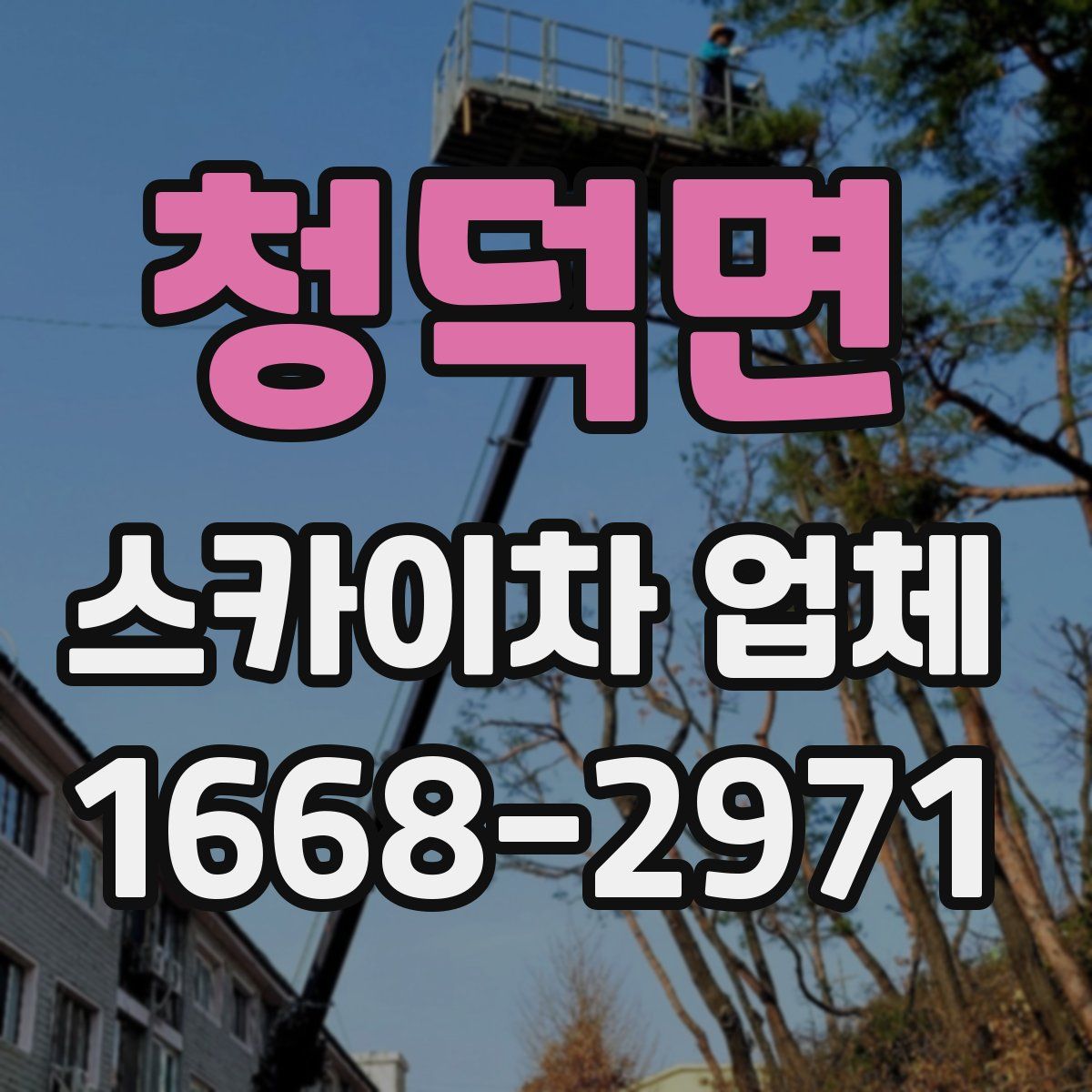 청덕면 스카이차 업체