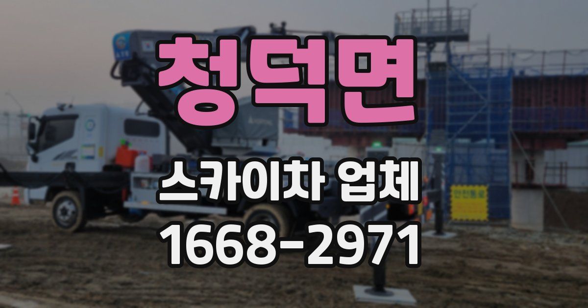 청덕면 스카이차 업체