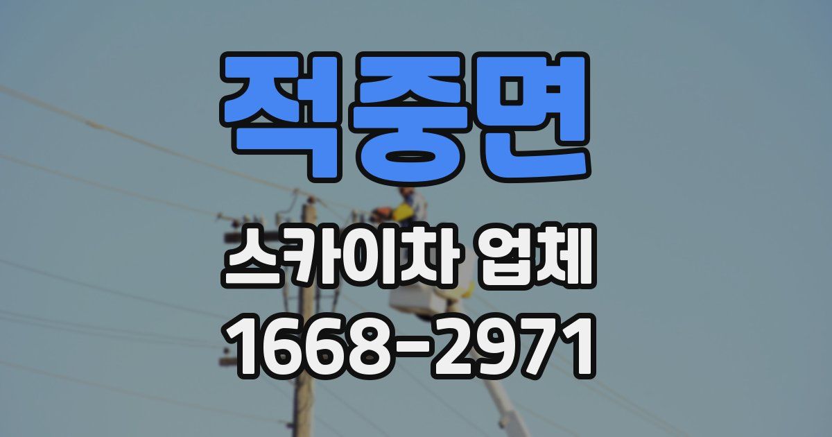 적중면 스카이차 업체