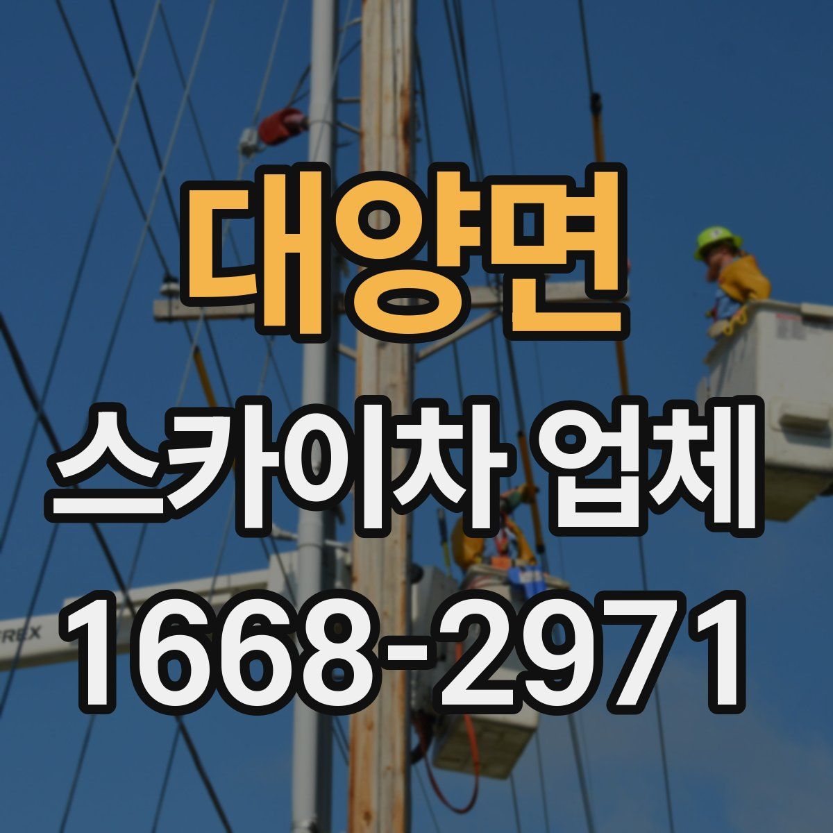 대양면 스카이차 업체