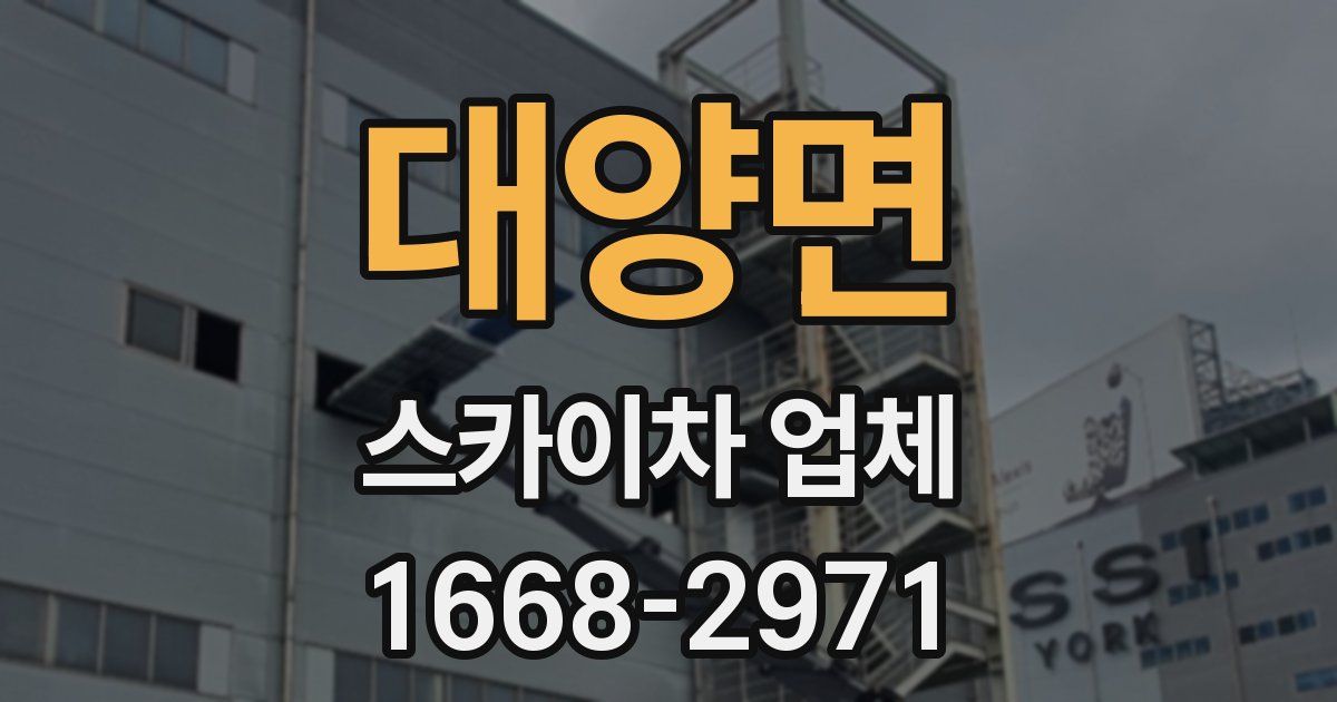 대양면 스카이차 업체